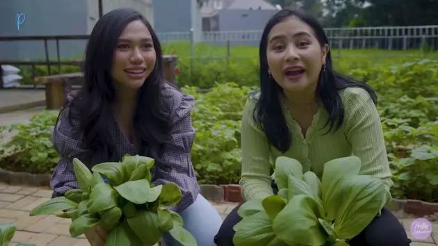 kebun pribadi prilly Berbagai sumber