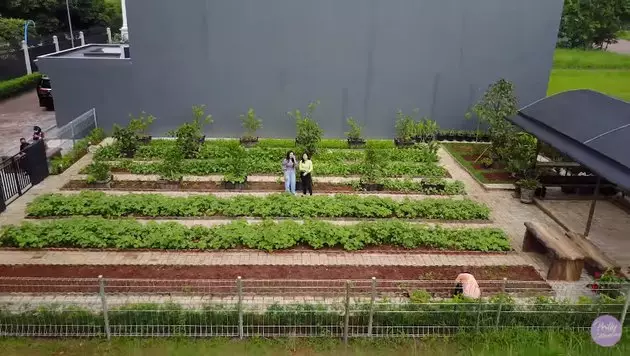 kebun pribadi prilly Berbagai sumber