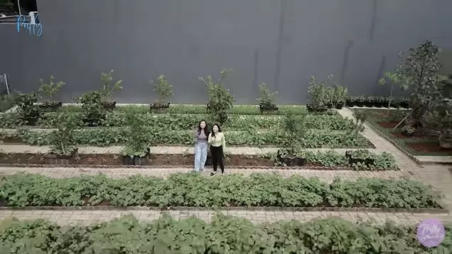 kebun pribadi prilly Berbagai sumber