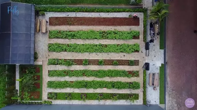 kebun pribadi prilly Berbagai sumber