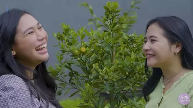 kebun pribadi prilly Berbagai sumber