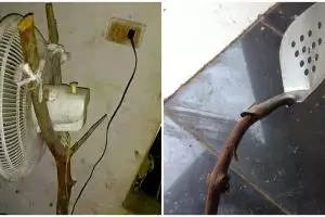 10 Benda diperbaiki pakai kayu ini endingnya malah absurd