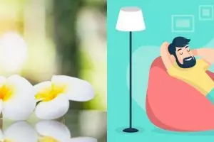 8 Manfaat bunga kamboja untuk kesehatan, mampu meredakan stres