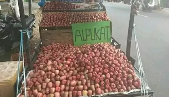 promosi pedagang salah tulis © 2021 1cak.com