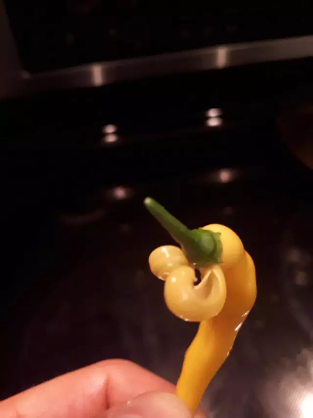 benda menyerupai manusia © 2021 Berbagai sumber