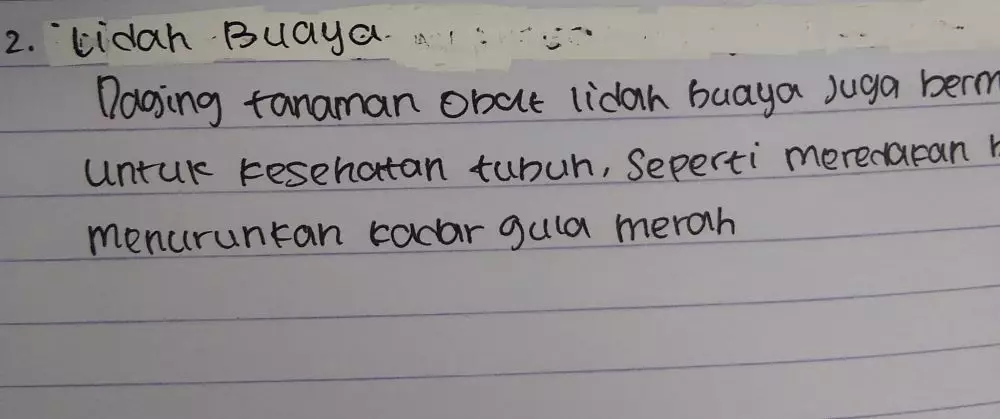 Typo lucu mengerjakan tugas © Twitter