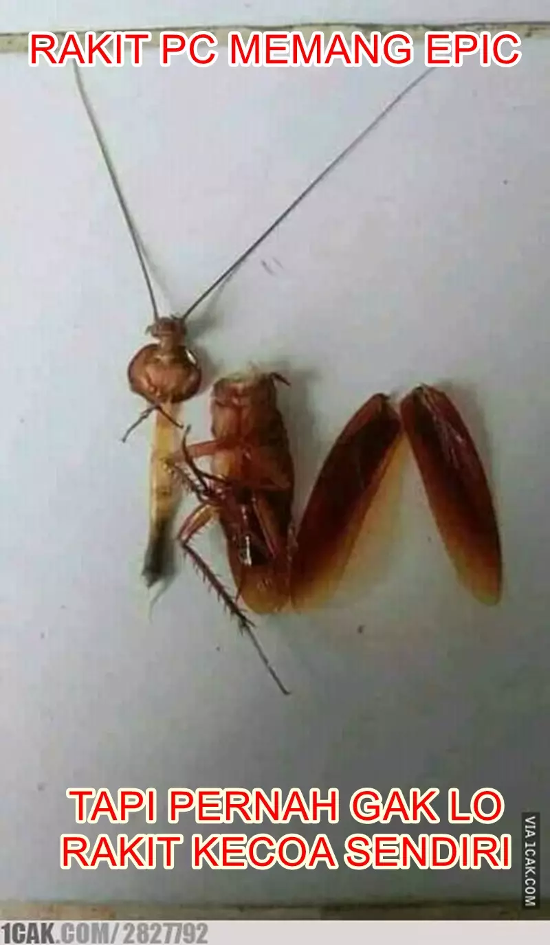 meme ngerakit sendiri © 2021 berbagai sumber