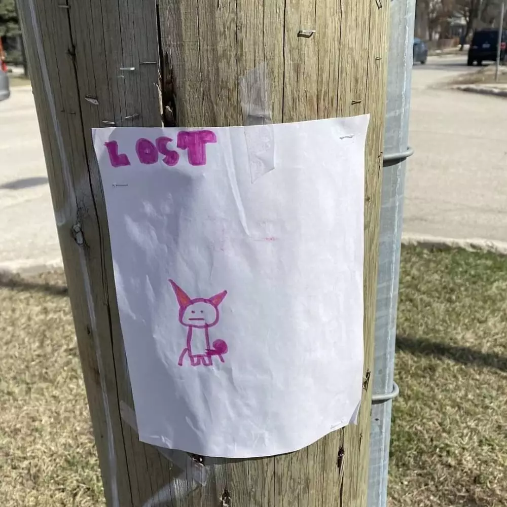 pengumuman kucing hilang lucu © 2021 brilio.net