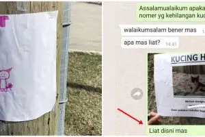 10 Pengumuman kucing hilang ini endingnya bikin mikir