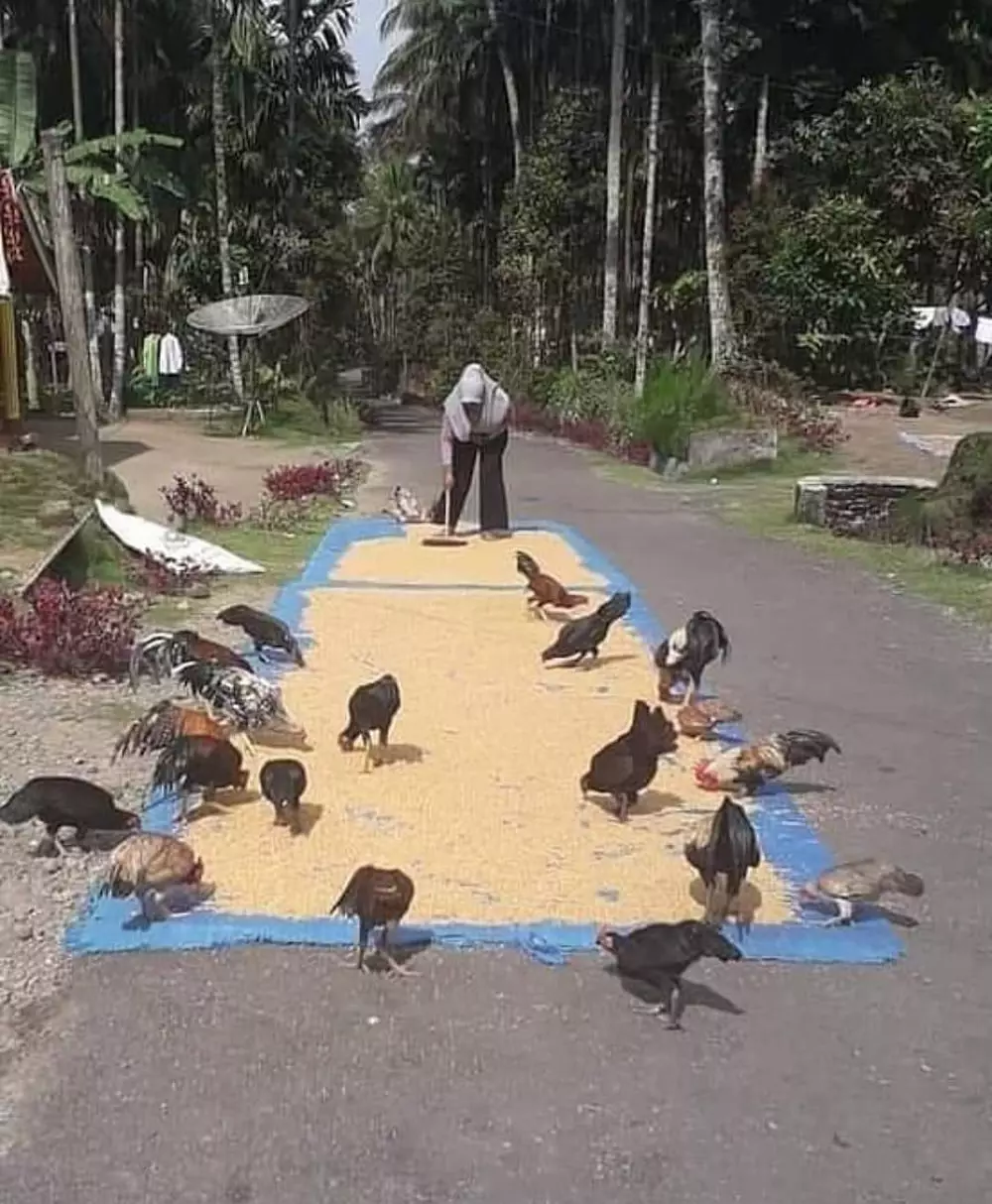 momen lucu emak dan hewan peliharaan © 2021 instagram.com