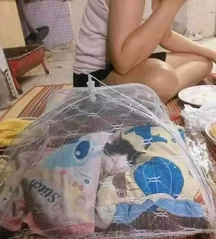 momen lucu emak dan hewan peliharaan © 2021 instagram.com