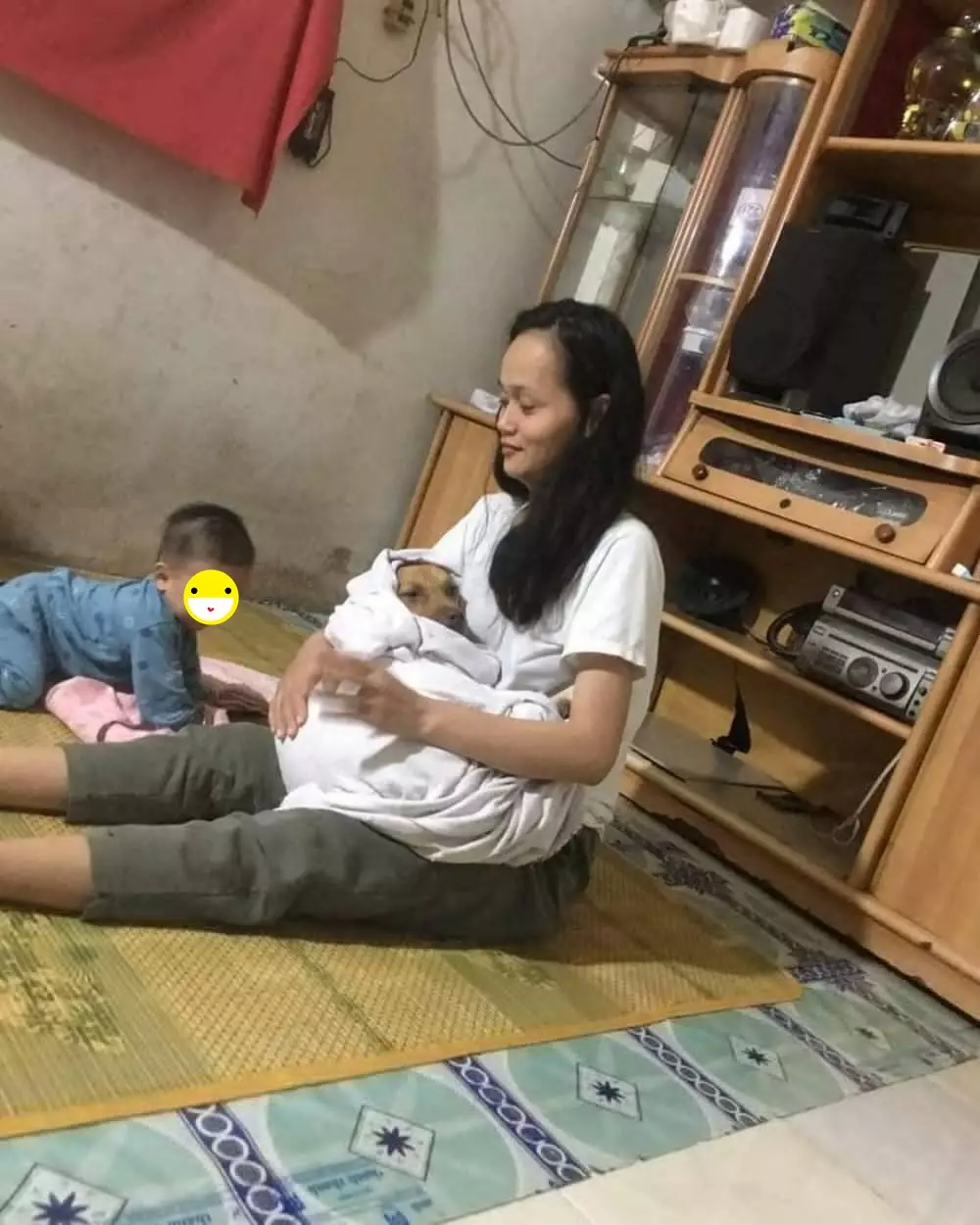 10 Momen lucu emak-emak dan hewan peliharaan bikin tepuk jidat berbagai sumber