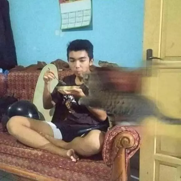 potret lucu hewan numpang lewat © 2021 instagram.com