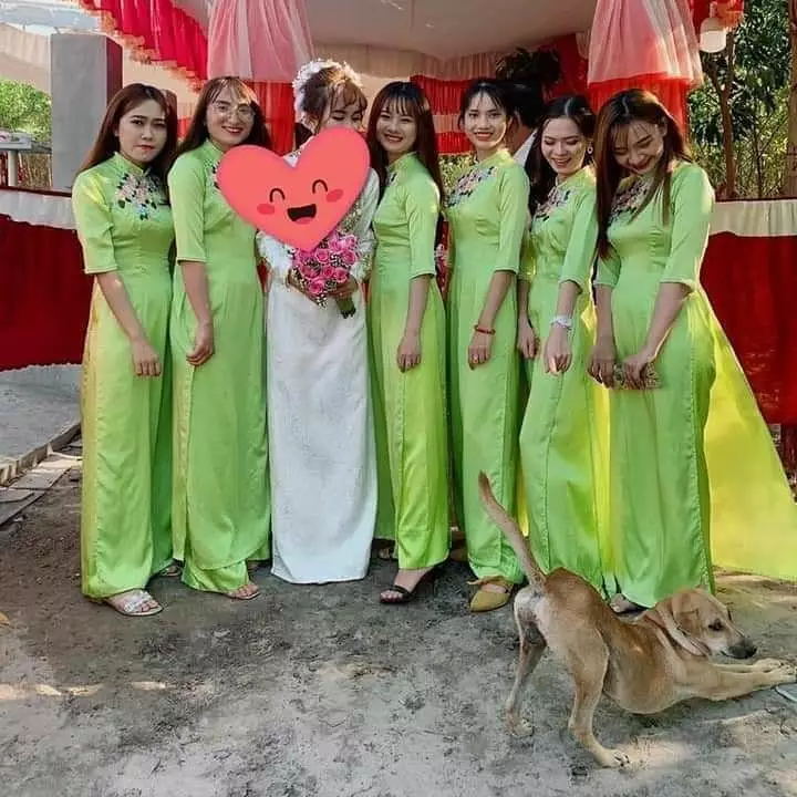 potret lucu hewan numpang lewat © 2021 instagram.com