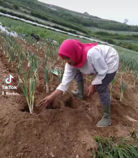 Novi Listiana pedangdut yang jadi petani © 2021 brilio.net