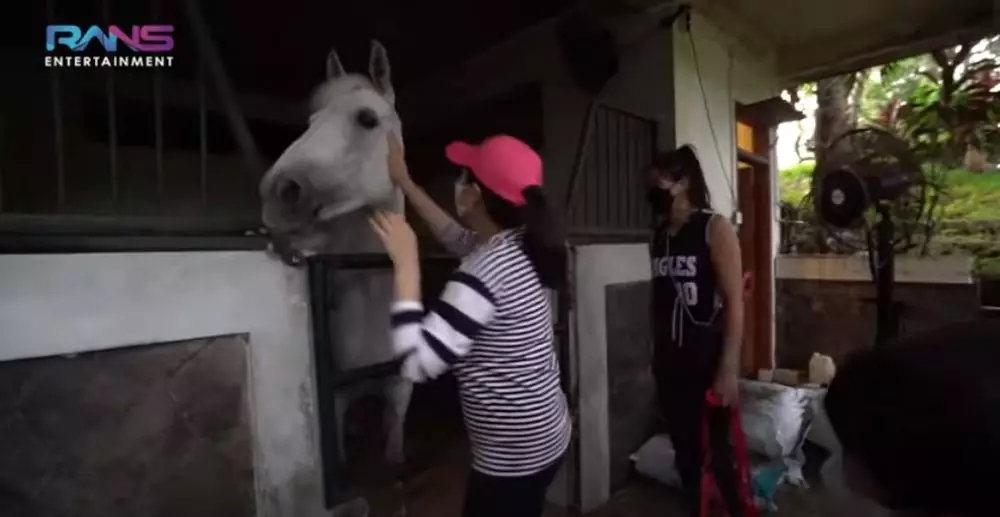 Potret kuda putih Nagita Slavina © 2021 brilio.net