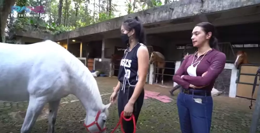 Potret kuda putih Nagita Slavina © 2021 brilio.net