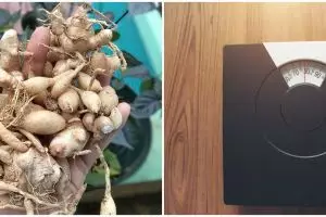 8 Manfaat temu putih untuk kecantikan dan kesehatan, meluruhkan lemak