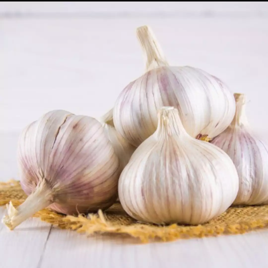 19 Manfaat bawang putih untuk kesehatan dan kecantikan