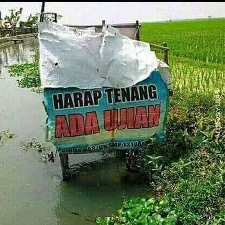 momen lucu orang di sungai © 2021 instagram.com momen lucu orang di sungai © 2021 instagram.com