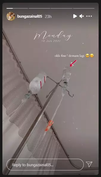 potret kondisi terkini Bunga Zainal Instagram