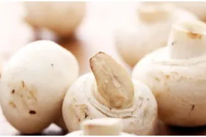 5 Cara memasak jamur kancing agar tidak bau