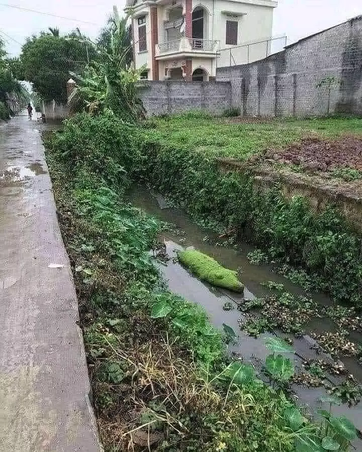 potret lucu dikira hewan © 2021 instagram.com potret lucu dikira hewan © 2021 instagram.com