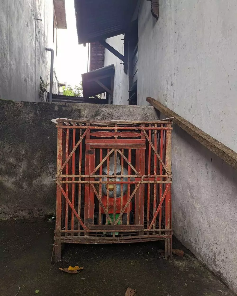 potret lucu dikira hewan © 2021 instagram.com potret lucu dikira hewan © 2021 instagram.com