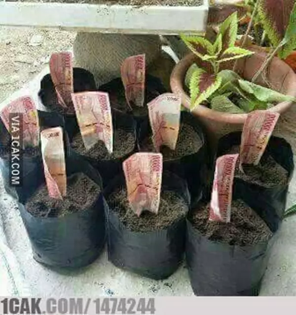 Cara orang tajir selesaikan masalah © berbagai sumber