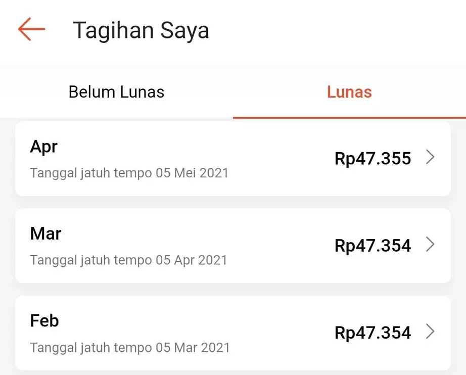 Potret tagihan fitur paylater © berbagai sumber