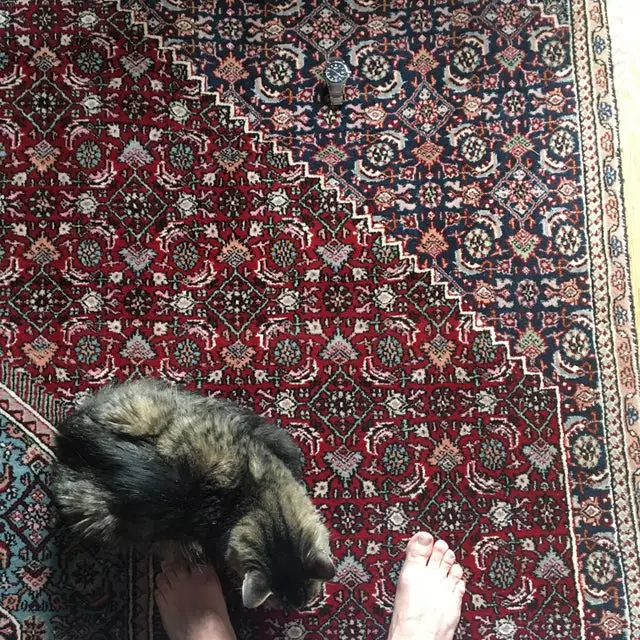 alat elektronik berkamuflase © 2021 reddit