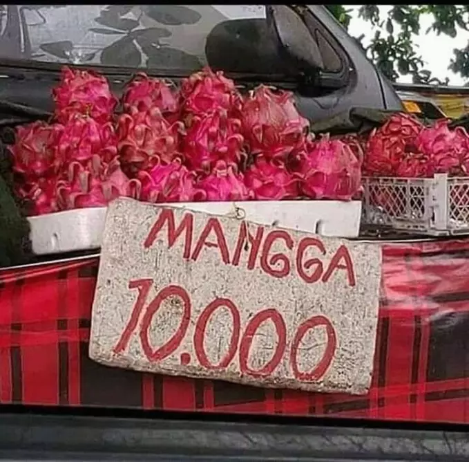 tulisan nggak sesuai produk © 2021 berbagai sumber  tulisan nggak sesuai produk © 2021 berbagai sumber