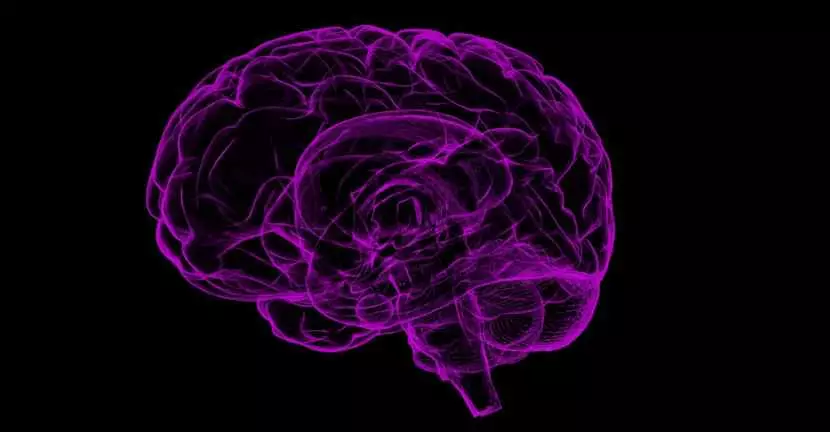 Manfaat gingseng untuk kesehatan © 2021 brilio.net