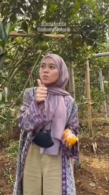 kebun jeruk Lesty © 2021 brilio.net kebun jeruk Lesty © 2021 brilio.net