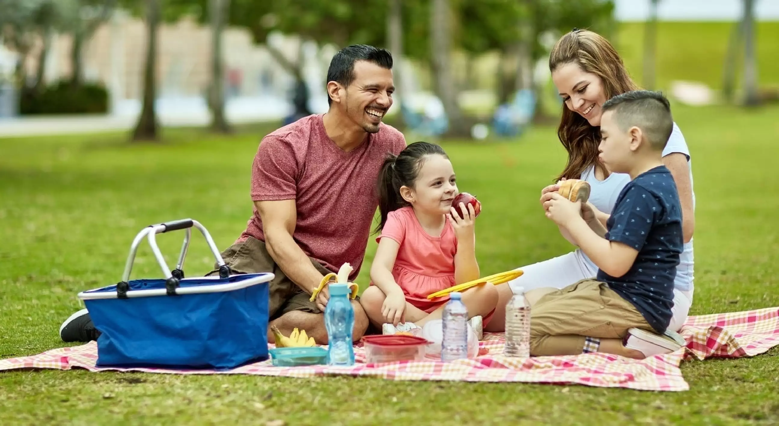 4 Tips &amp; menu nikmat untuk si kecil piknik di rumah, seru dan asik 