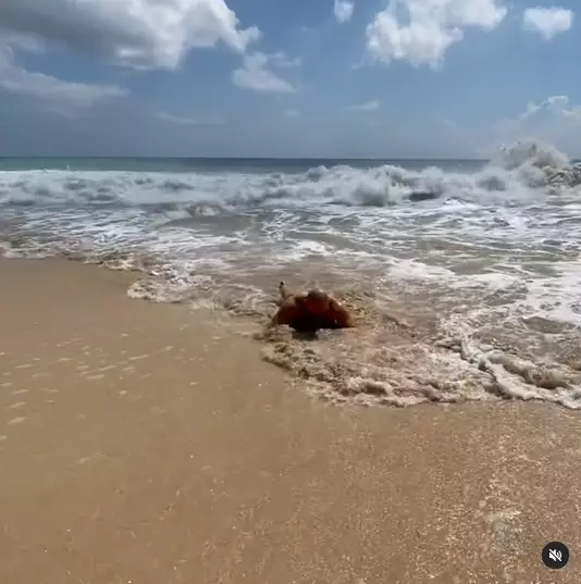 Momen liburan Deddy Corbuzier & Sabrina Instagram