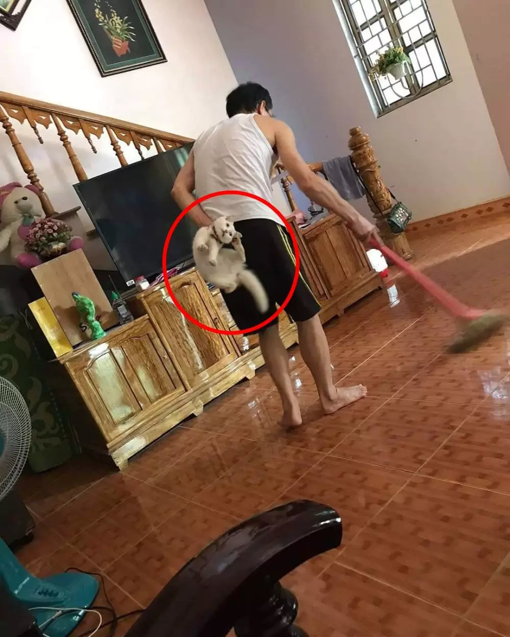 momen lucu orang lagi bersih-bersih © 2021 1cak.com momen lucu orang lagi bersih-bersih © 2021 1cak.com