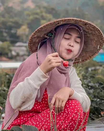seleb pakai caping saat berkebun © berbagai sumber seleb pakai caping saat berkebun © berbagai sumber