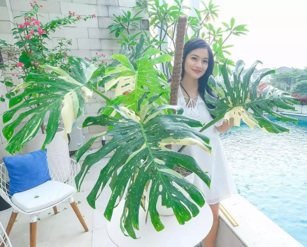 potret kebun rumah Titi Kamal © Instagram potret kebun rumah Titi Kamal © Instagram