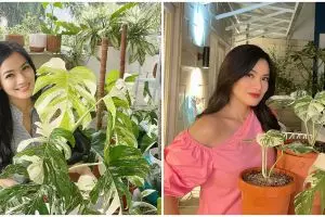 10 Potret kebun di rumah Titi Kamal, koleksi tanamannya bikin takjub