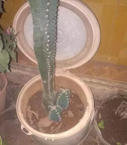 ide kreatif pakai perabotan rusak © 2021 1cak.com ide kreatif pakai perabotan rusak © 2021 1cak.com