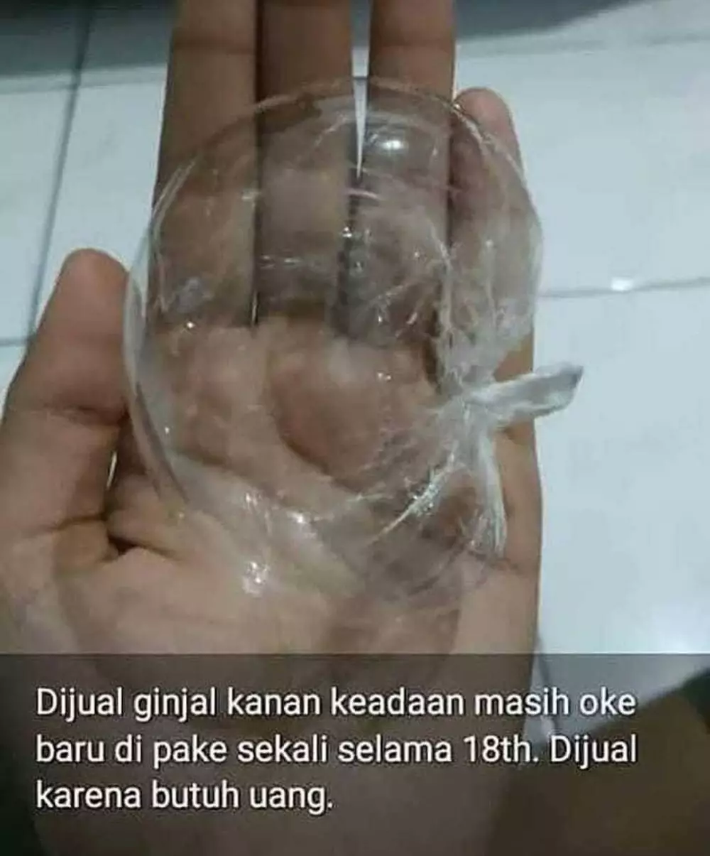 barang nyeleneh di jual online © 2021 instagram.com barang nyeleneh di jual online © 2021 instagram.com