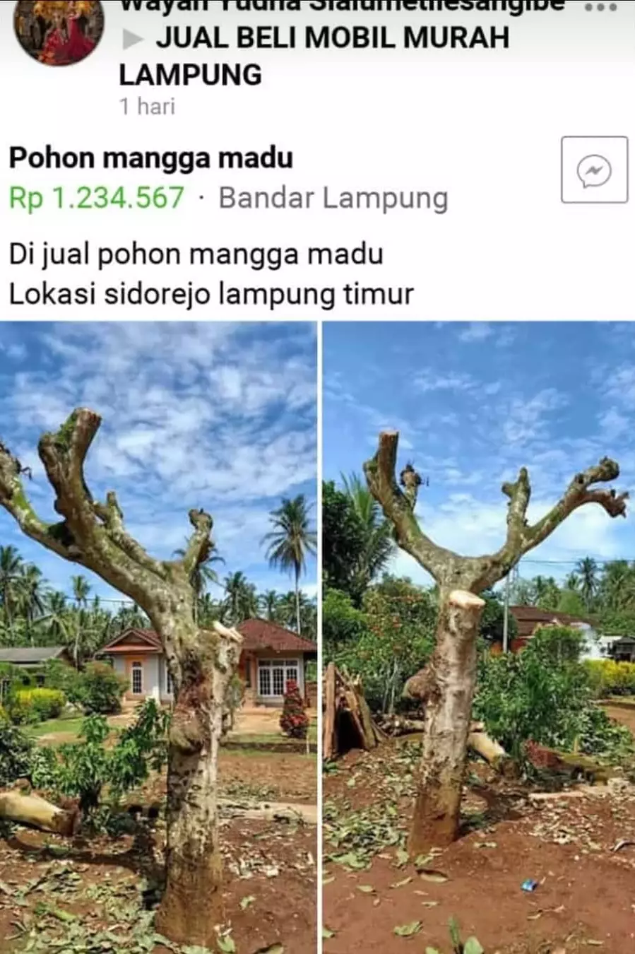 barang nyeleneh di jual online © 2021 instagram.com barang nyeleneh di jual online © 2021 instagram.com