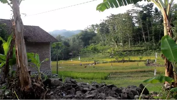 haram jual nasi Berbagai sumber haram jual nasi Berbagai sumber