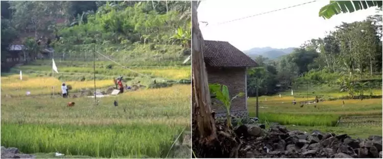 Warga desa di Kebumen ini 'haram' jual nasi, alasannya bikin salut