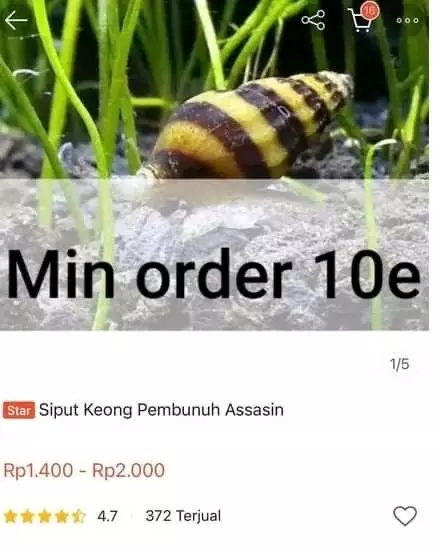 Nama dagangan kocak © Twitter Nama dagangan kocak © Twitter