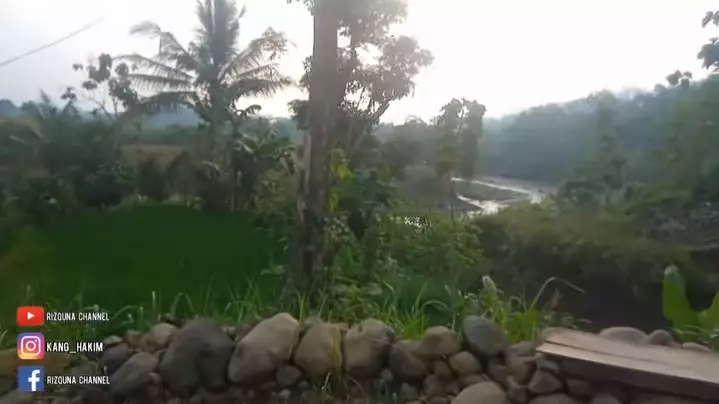 rumah mewah dari kayu jati Berbagai sumber