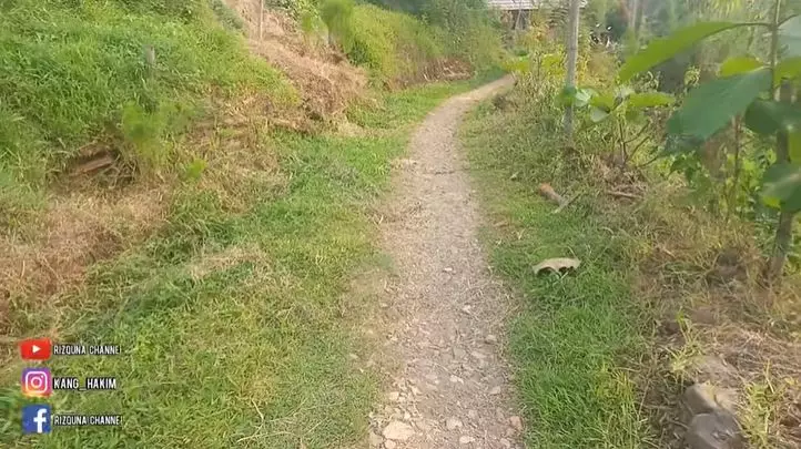 rumah mewah dari kayu jati Berbagai sumber