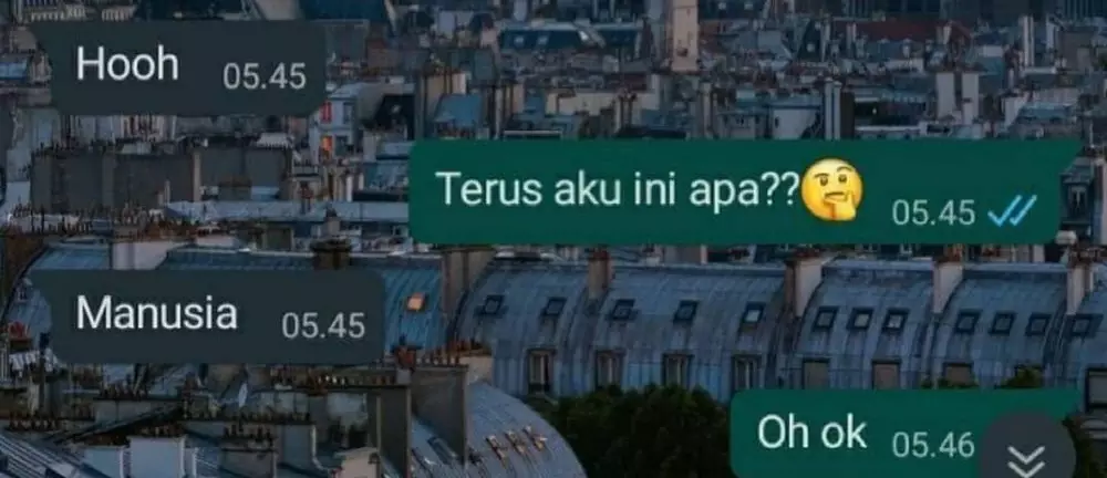 Chat lucu ditolak halus © berbagai sumber Chat lucu ditolak halus © berbagai sumber