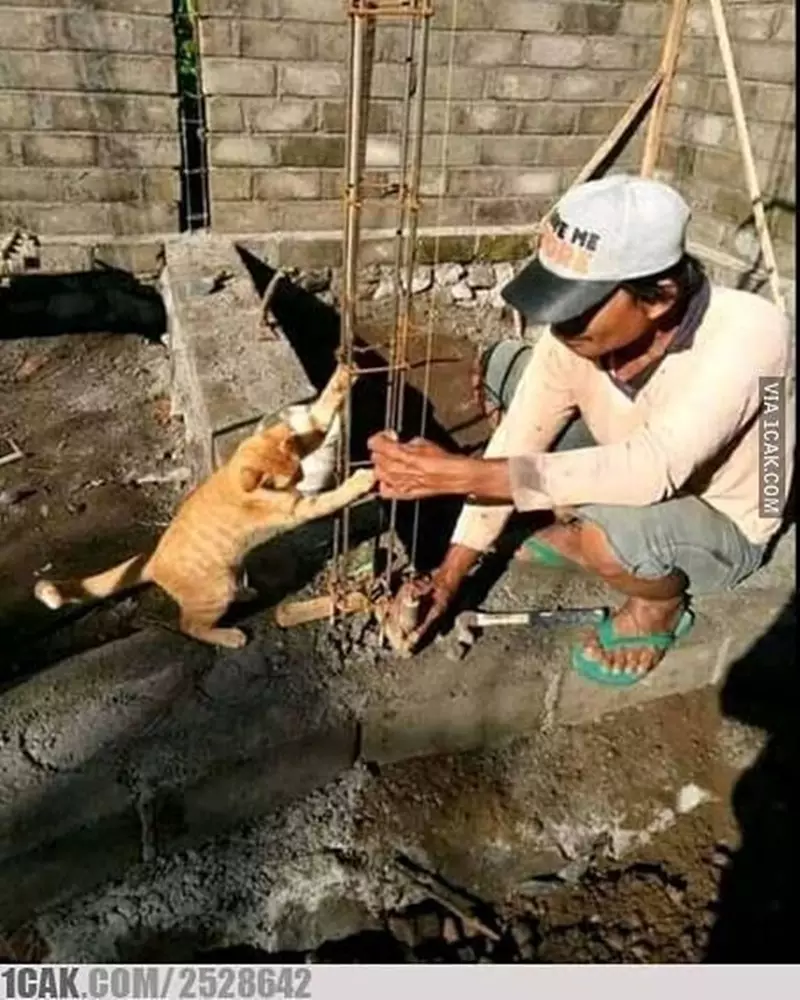 gaya nyeleneh kuli © 2021 berbagai sumber